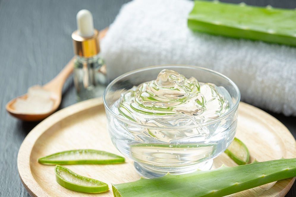 Aloe can help manage diabetes. (Image via Freepik/Jcomp)